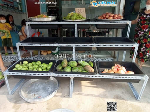 Kệ trồng rau 3 bậc 9 khay TP008 - Ảnh 7