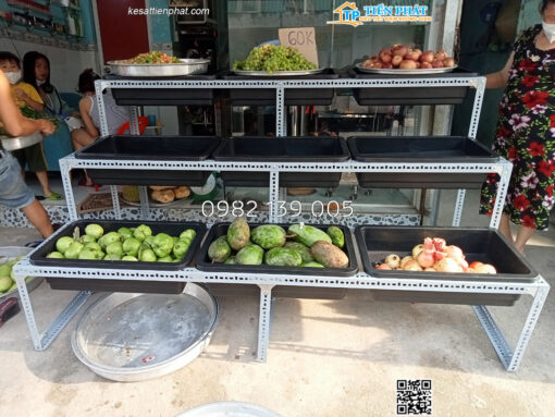 Kệ trồng rau 3 bậc 9 khay TP008 - Ảnh 6