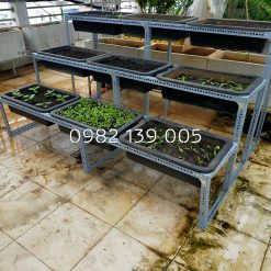 Kệ trồng rau 3 bậc 9 khay TP008