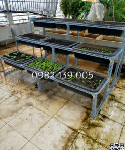 Kệ trồng rau 3 bậc 9 khay TP008