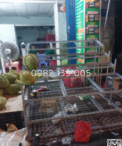 Kệ sầu riêng 4 bậc TP024 6 z6538316942993 0656295a1ea12f213d4147bbd375bdf4